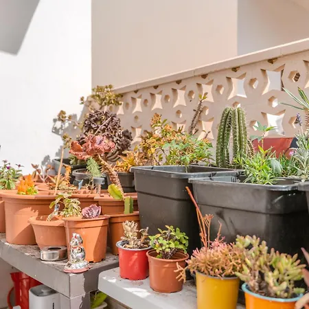 빌라 Renovated In Americas Sea Coast 플라야데라스아메리카스