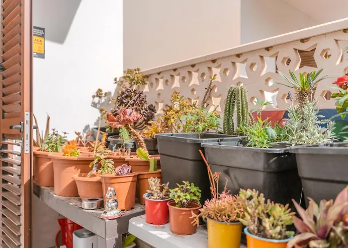 Villa Renovated In Americas Sea Coast Playa de las Américas